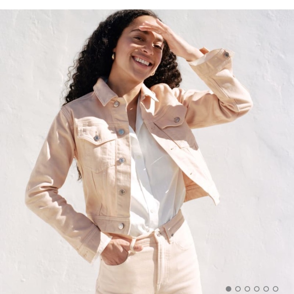 Everlane Denim Jacket